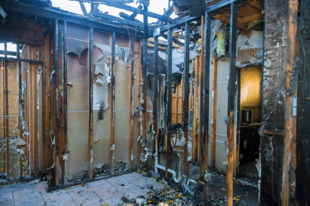 Professional Fire Damage Removal technician working in Warren, OR